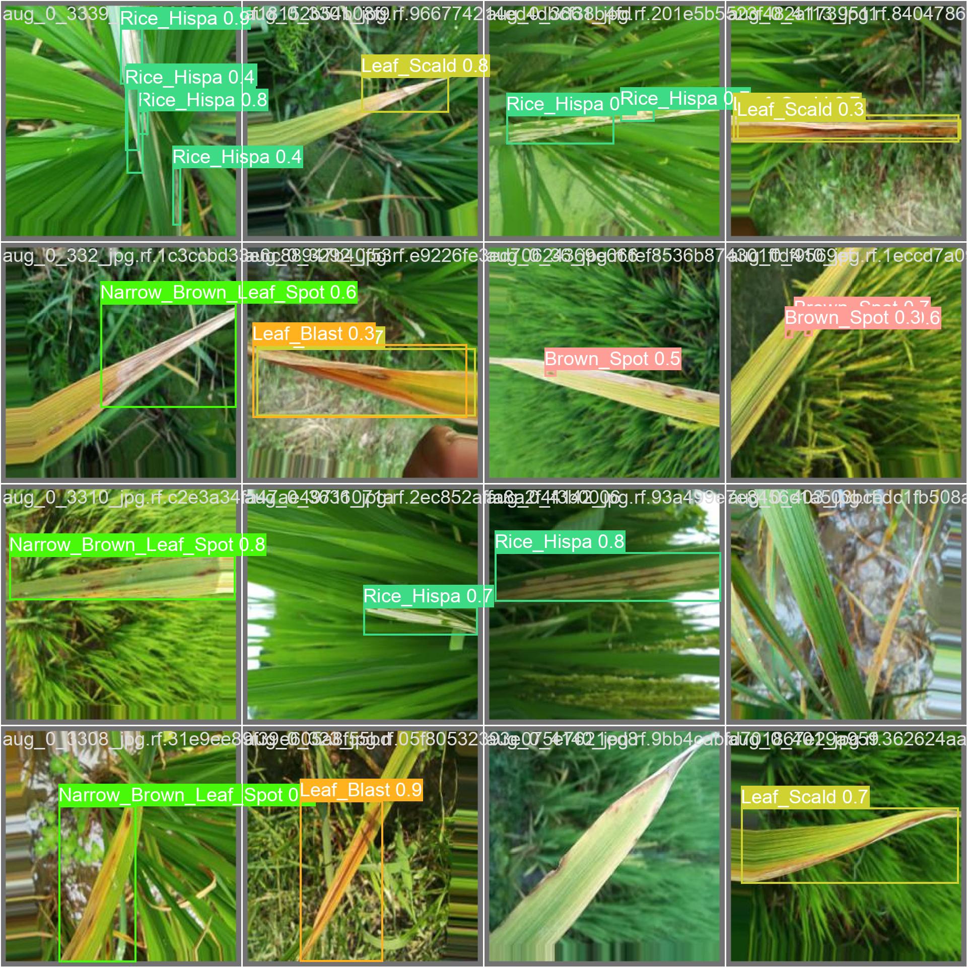 Rice Leaf Spot Disease Detection